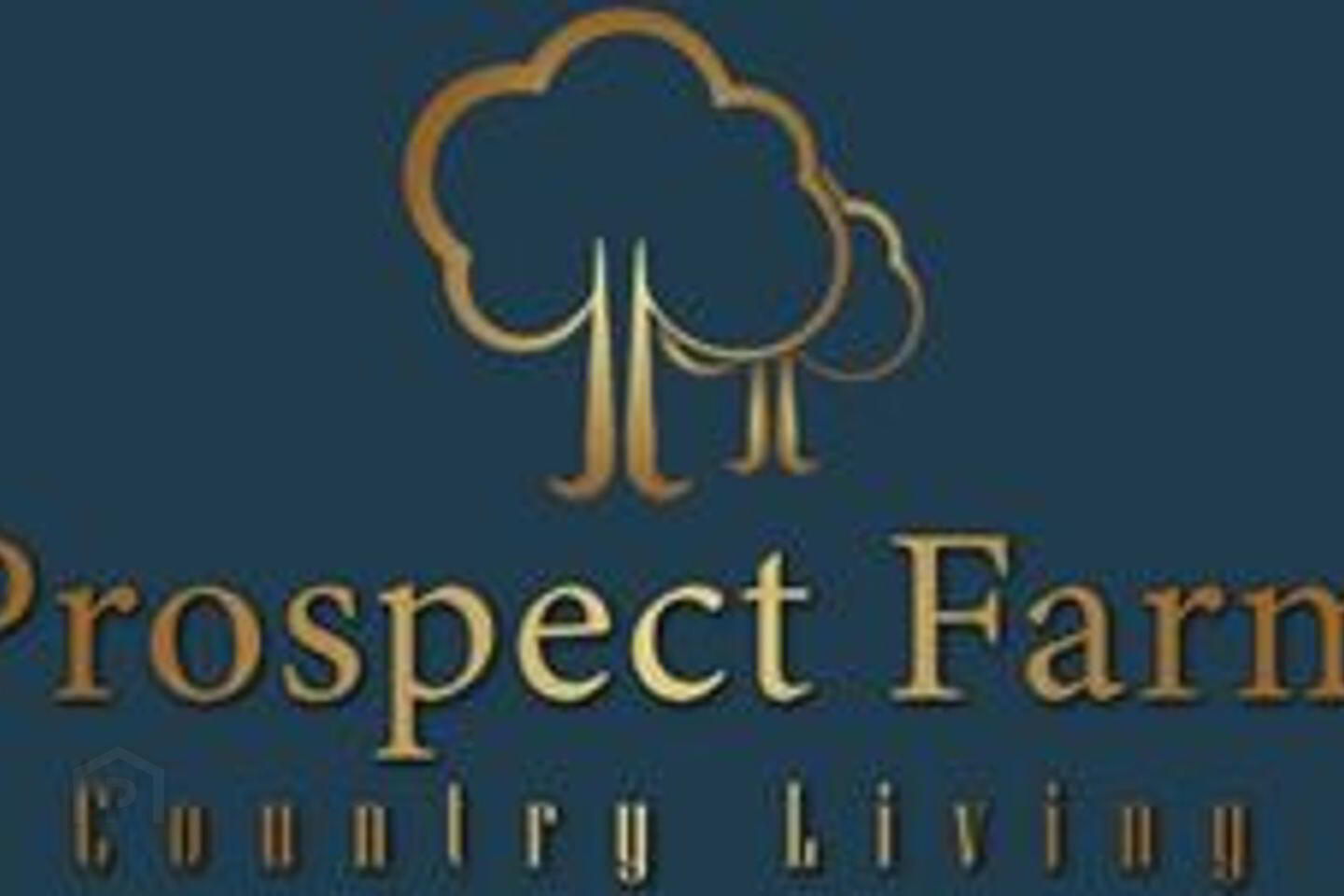 11 Prospect Drive 2 of 3