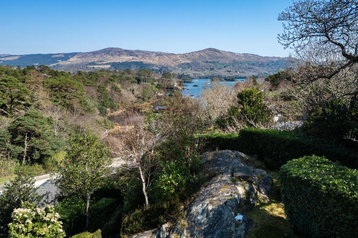 Shrone 3 of 4