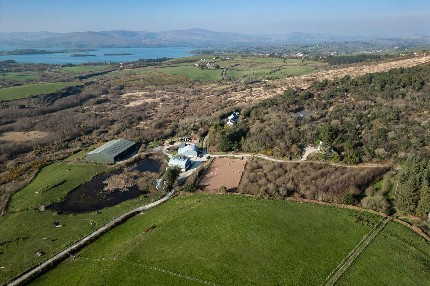 Hollyhill 3 of 45