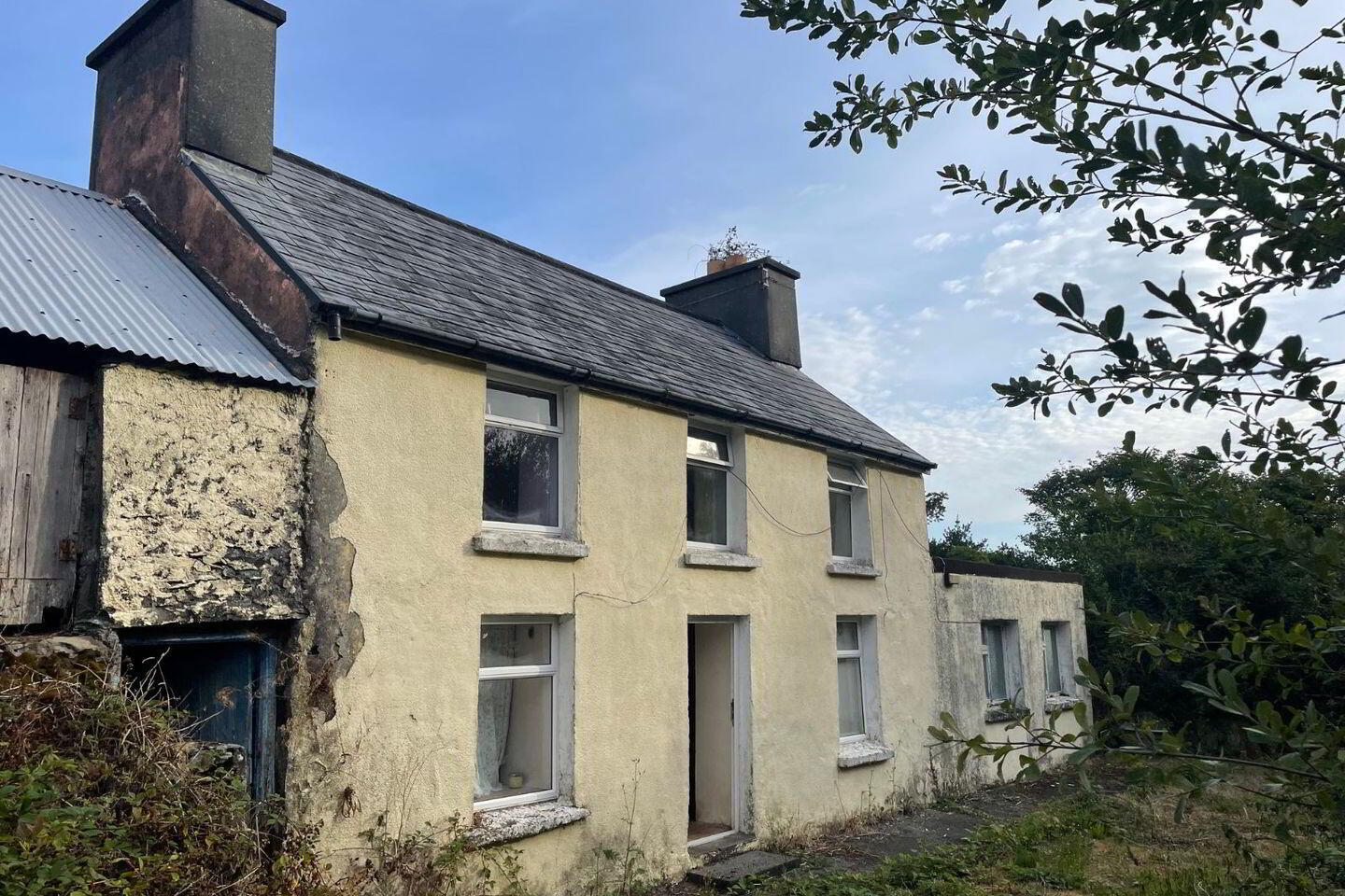 Curragh East, Adrigole 16 of 17