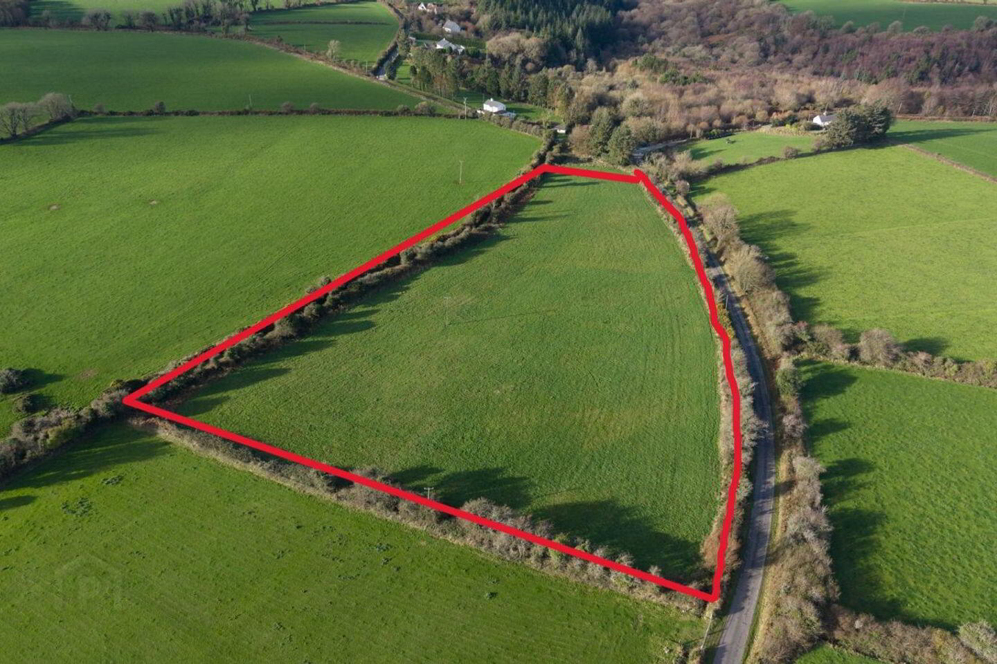 Cush Of Grange 3 of 3