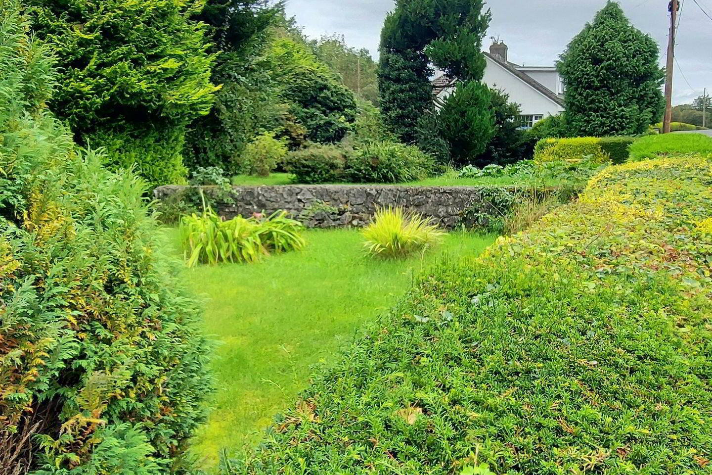 Carrig 18 of 18