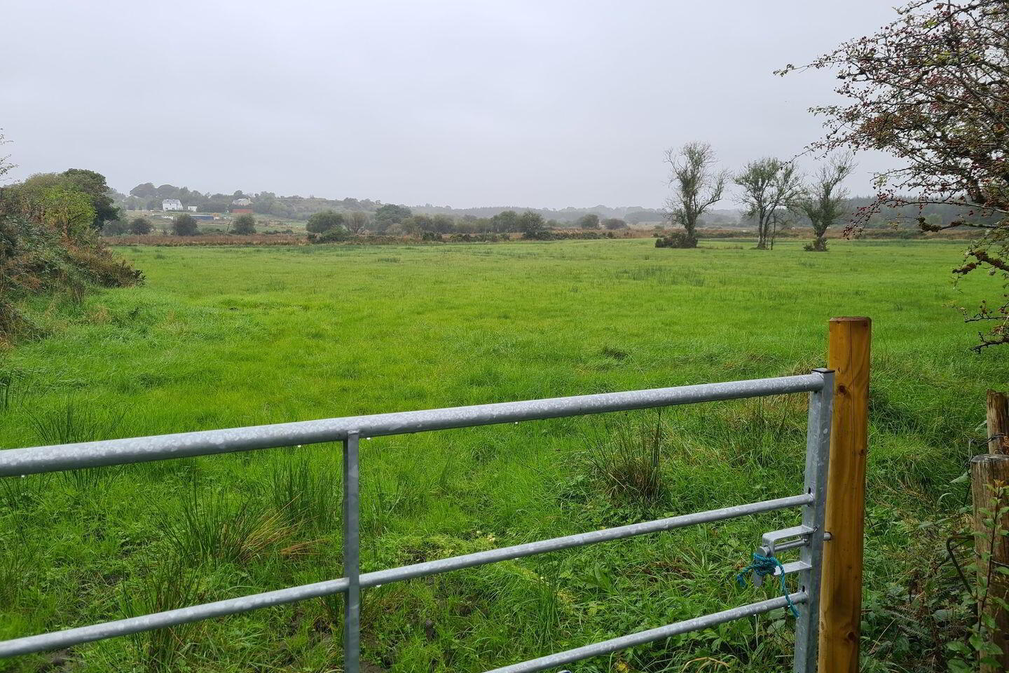 Bellaghy 2 of 3