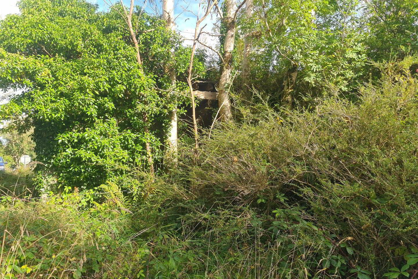 Park 8 of 9