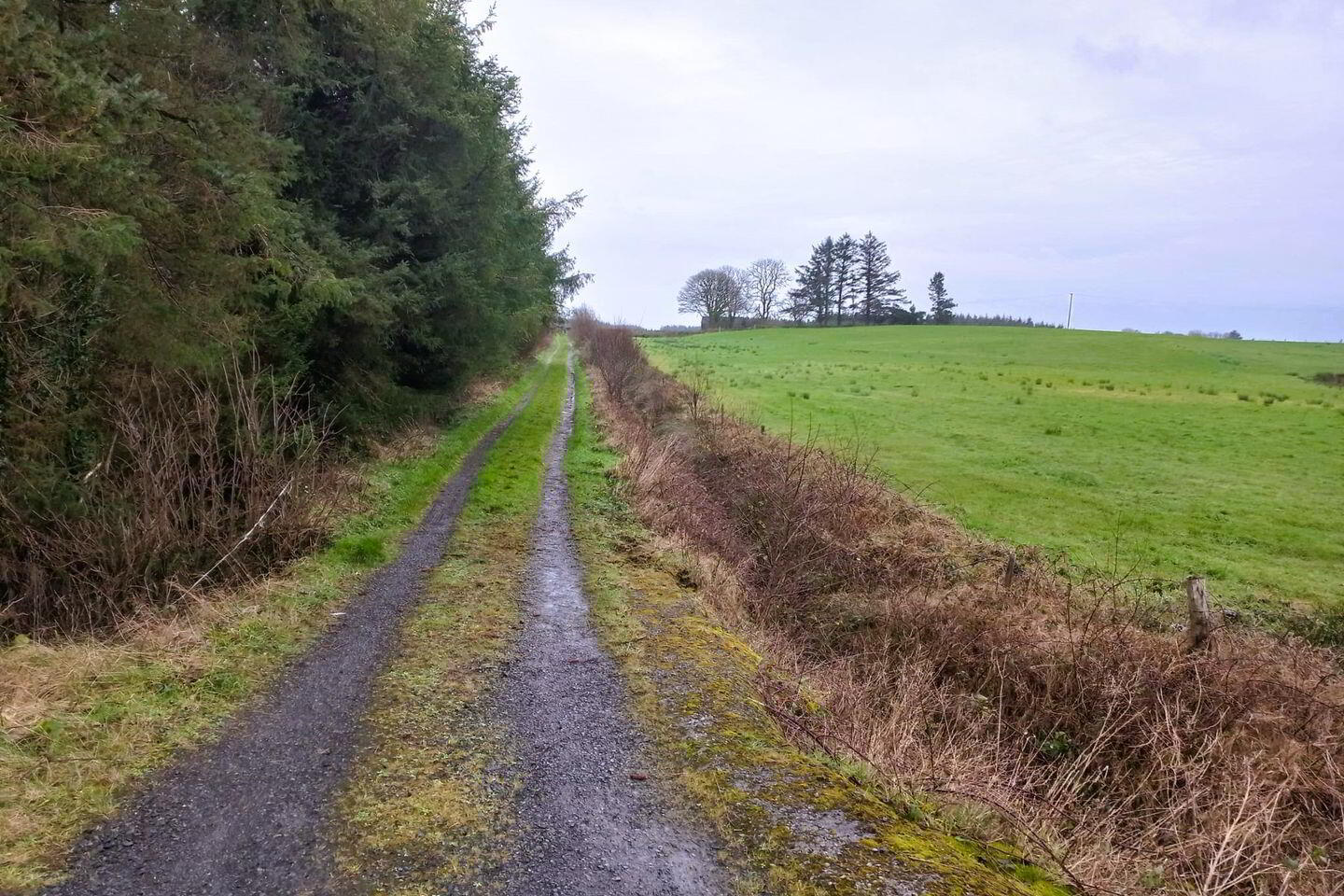 Derragh 14 of 15