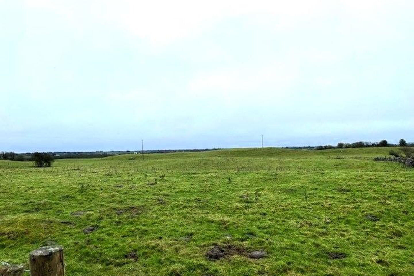 Corbaun 2 of 3