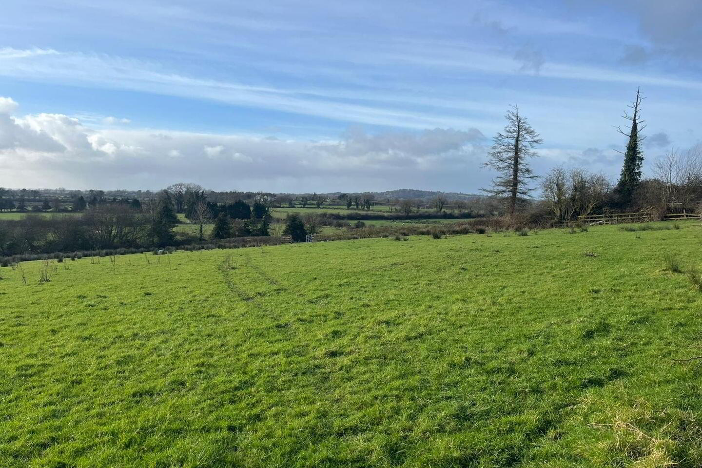 Ballymorris 3 of 3