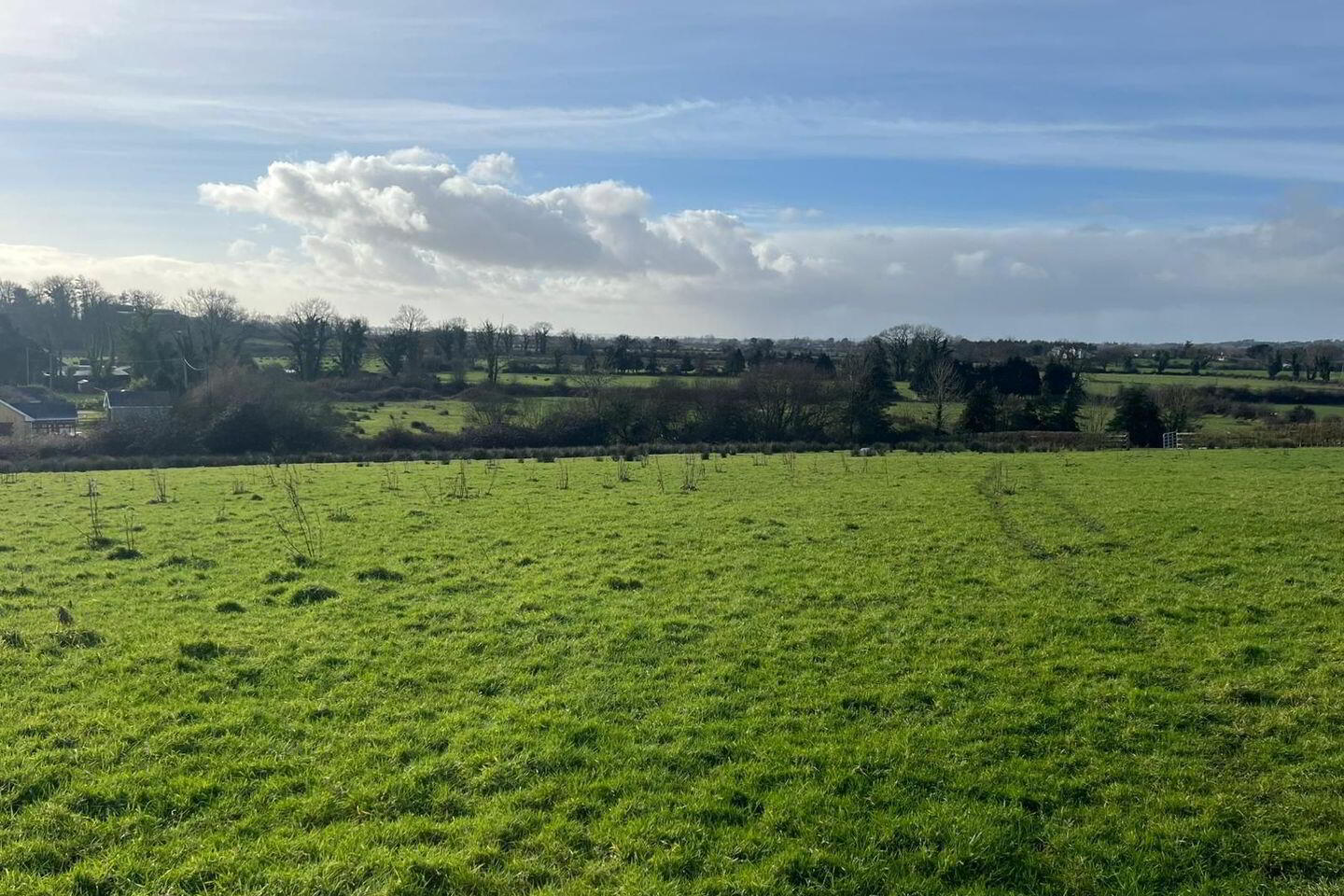 Ballymorris 2 of 3