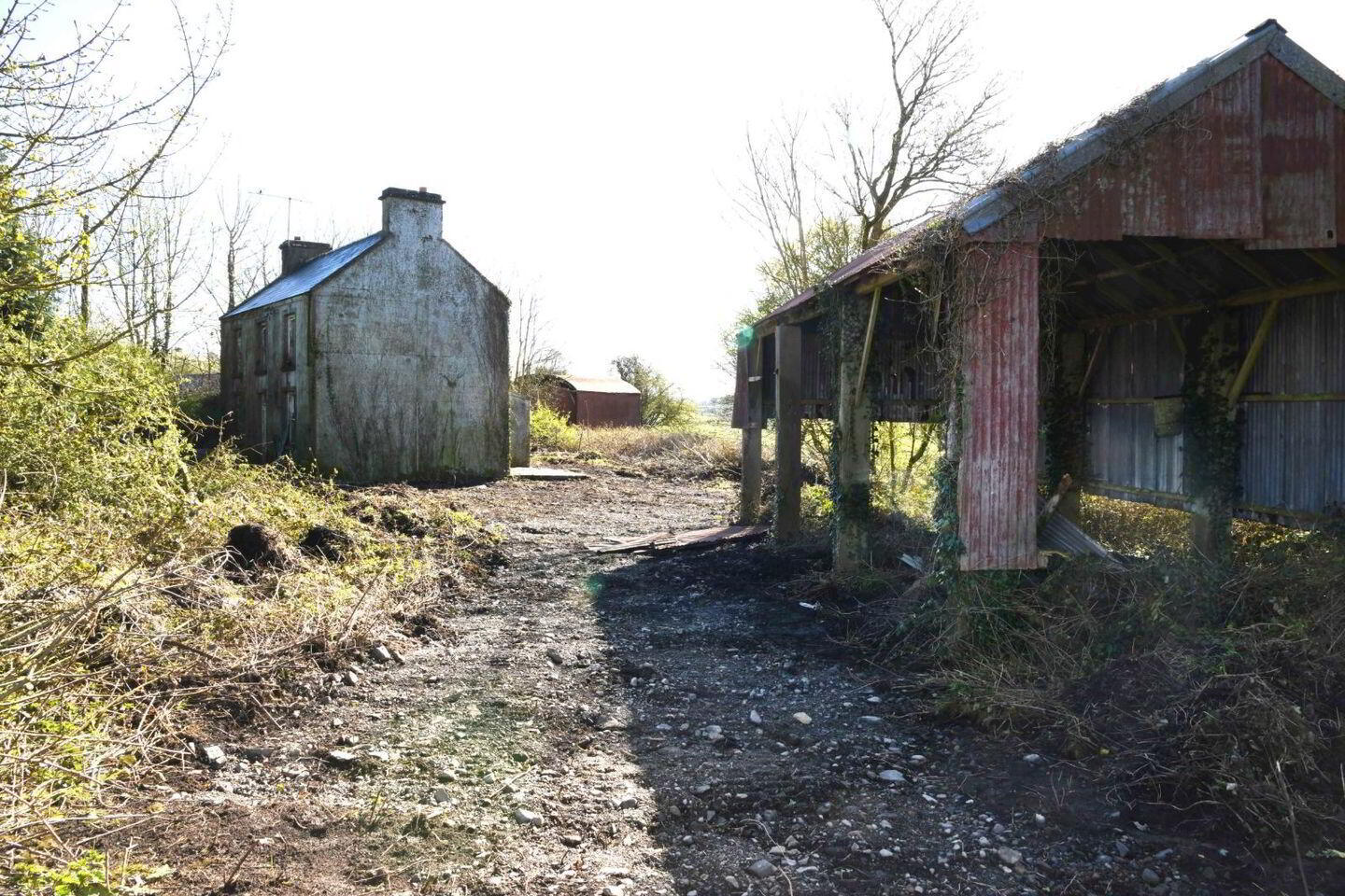 Doonmacreena 6 of 6