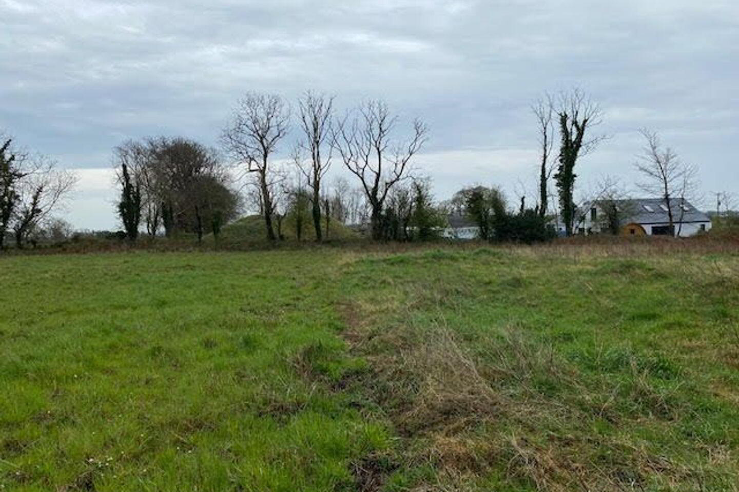 Ballymoneen 2 of 2