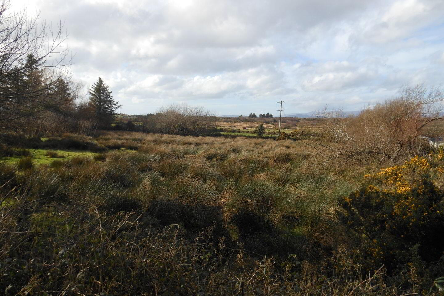 Ballycleave 2 of 2