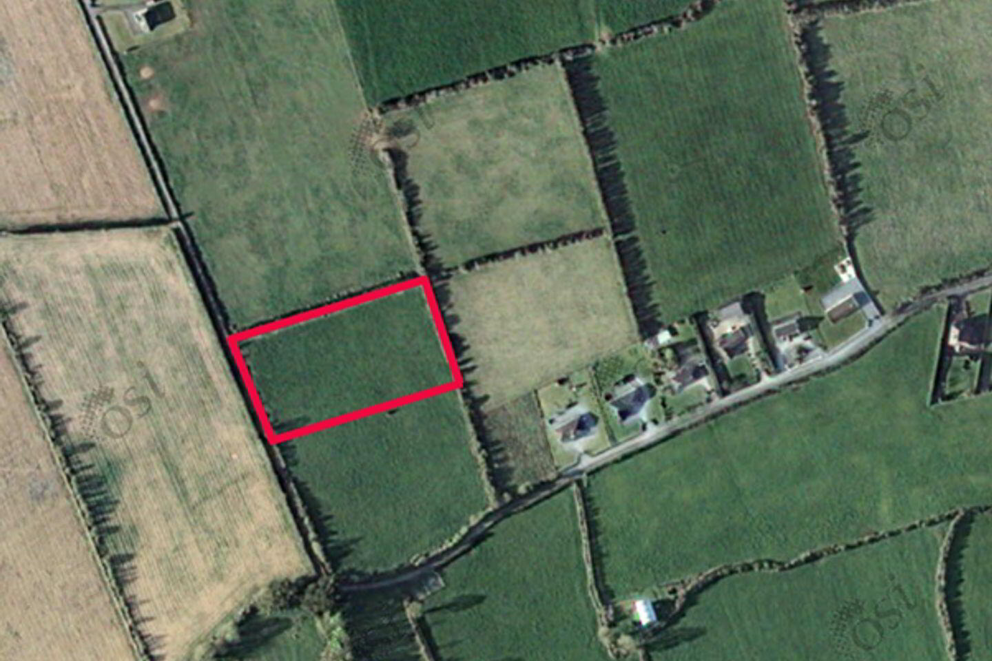 Barnalick 6 of 6