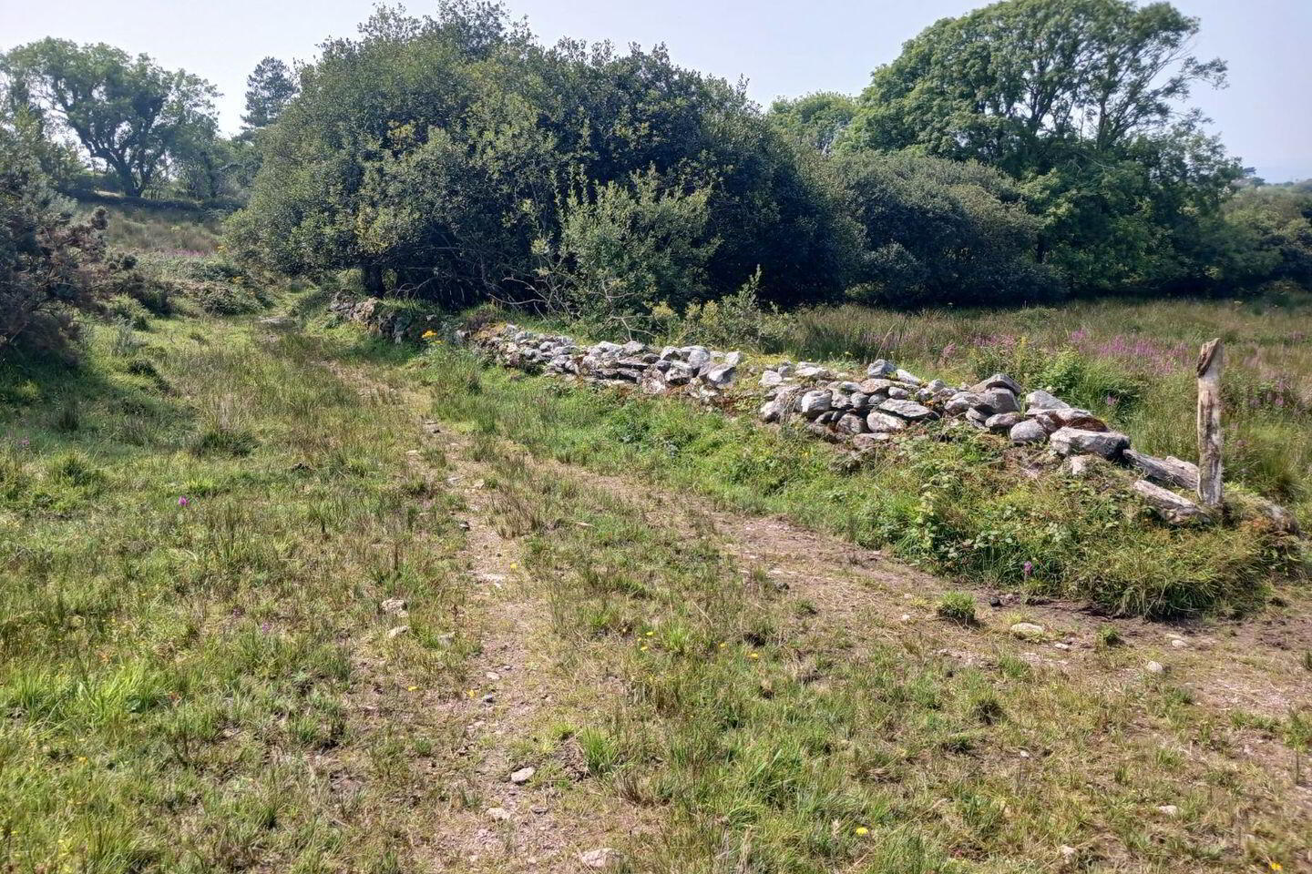 Spunkane Hill 40 of 41