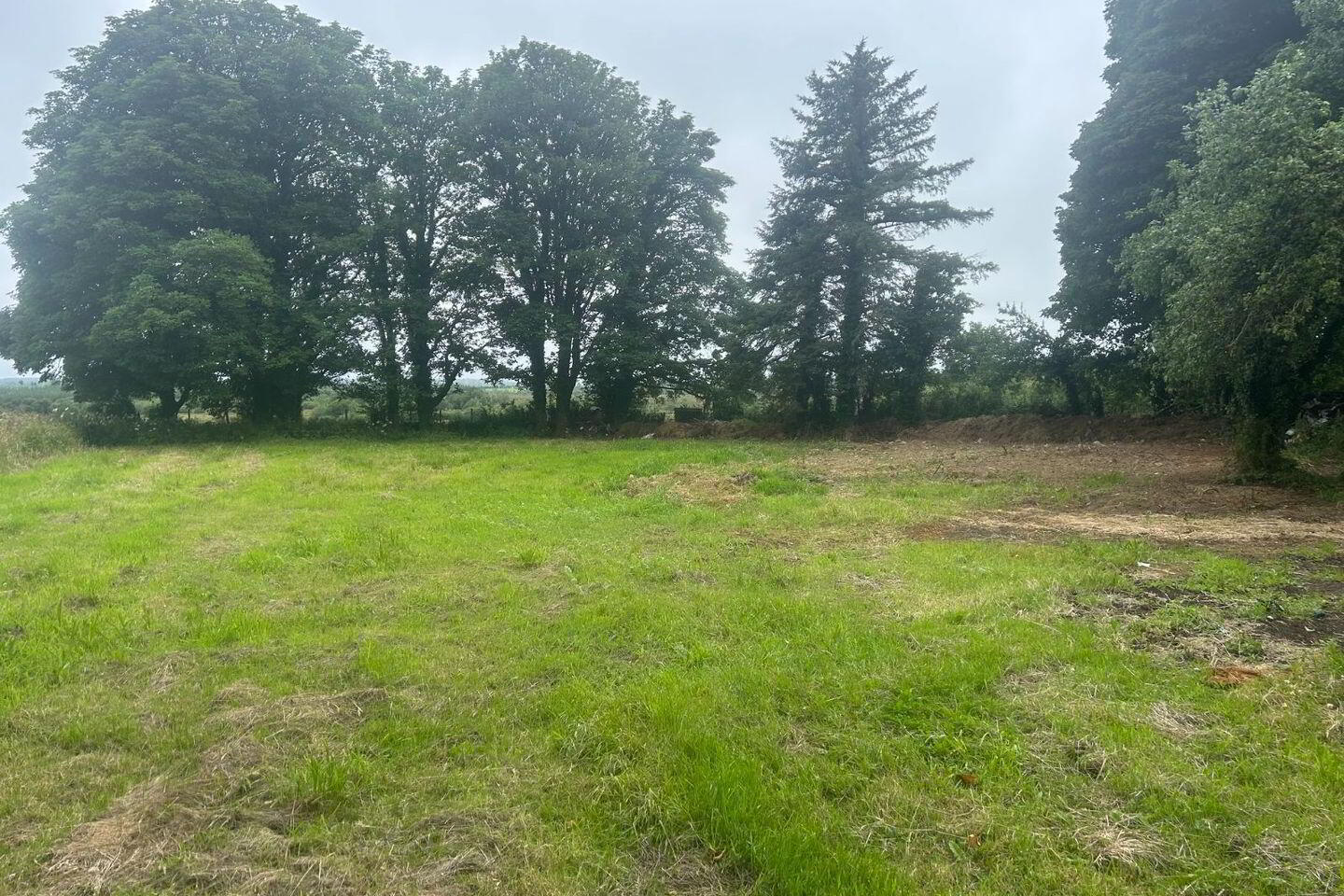 Clooneygrassan 4 of 4