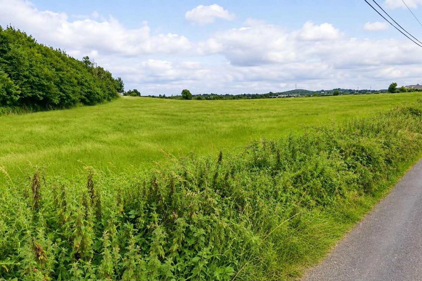 Leagaun 2 of 4