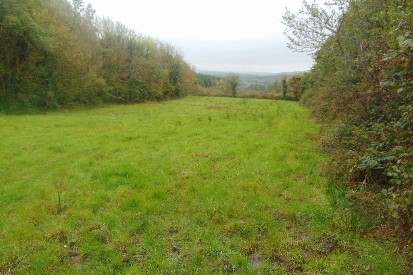 Kilkinlea Upper 10 of 11