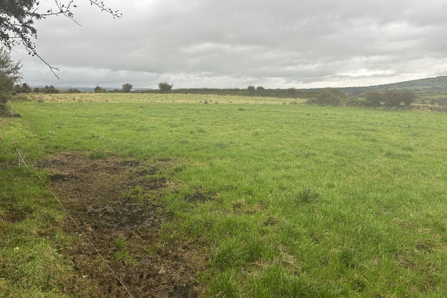 Ballyhar 2 of 3