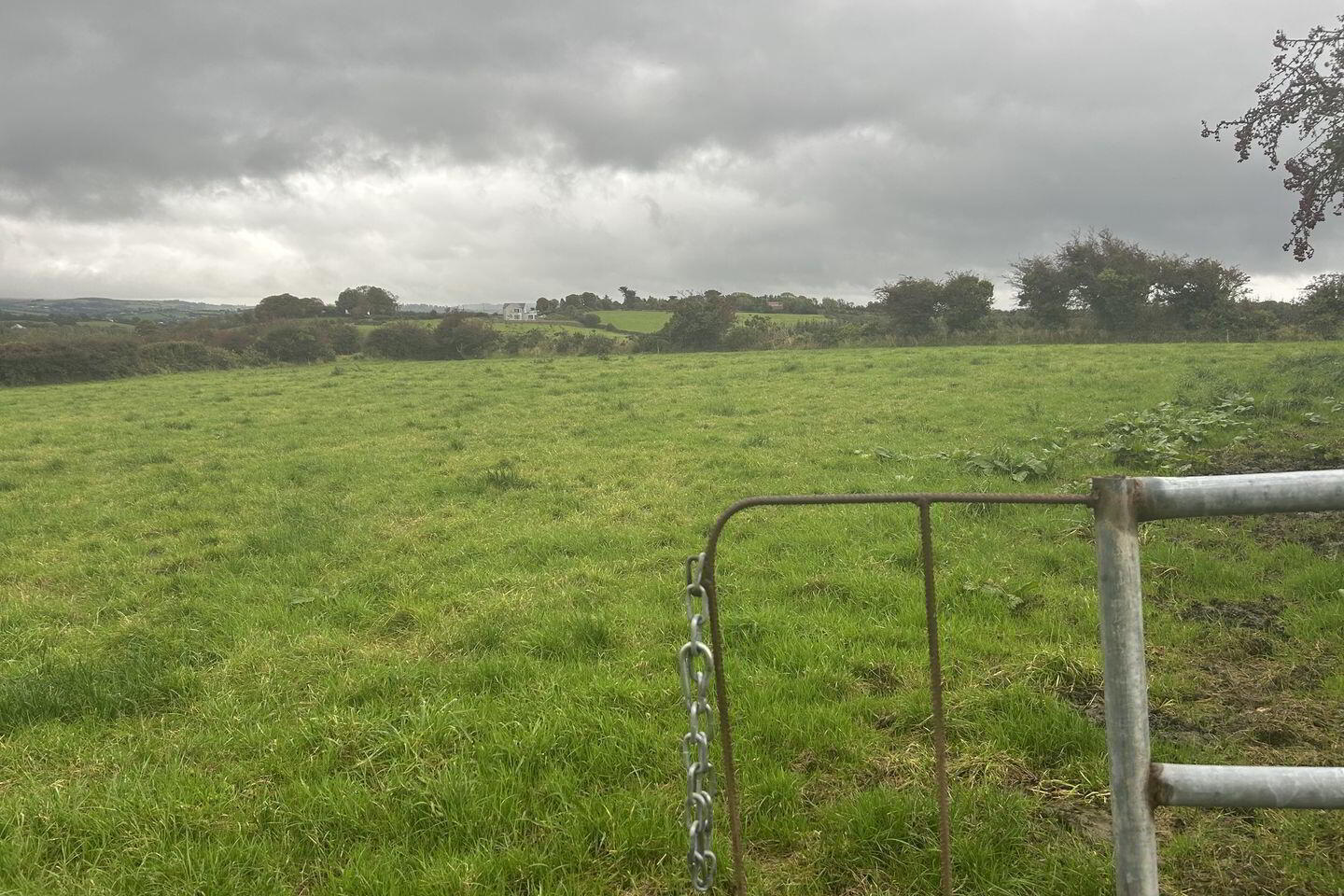 Ballyhar 3 of 3
