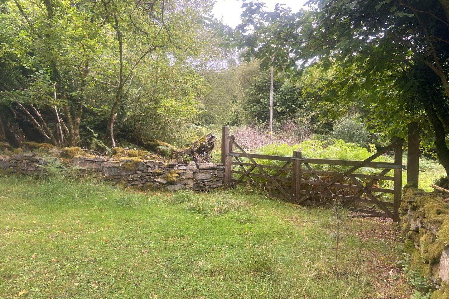 Annagh Beg 6 of 7