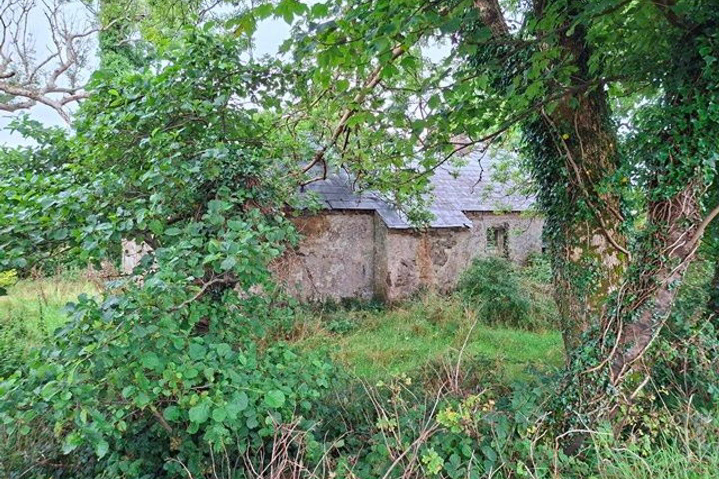 Carrowsallagh 4 of 4