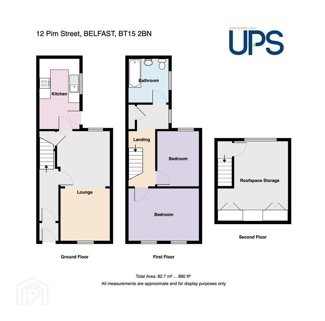 12 Pim Street 16 of 17