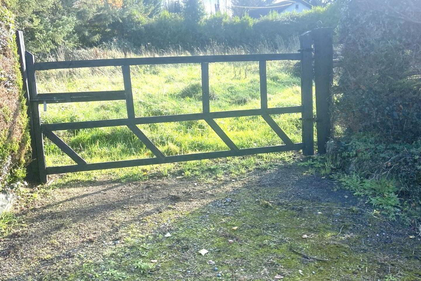 Ballycarron 20 of 21