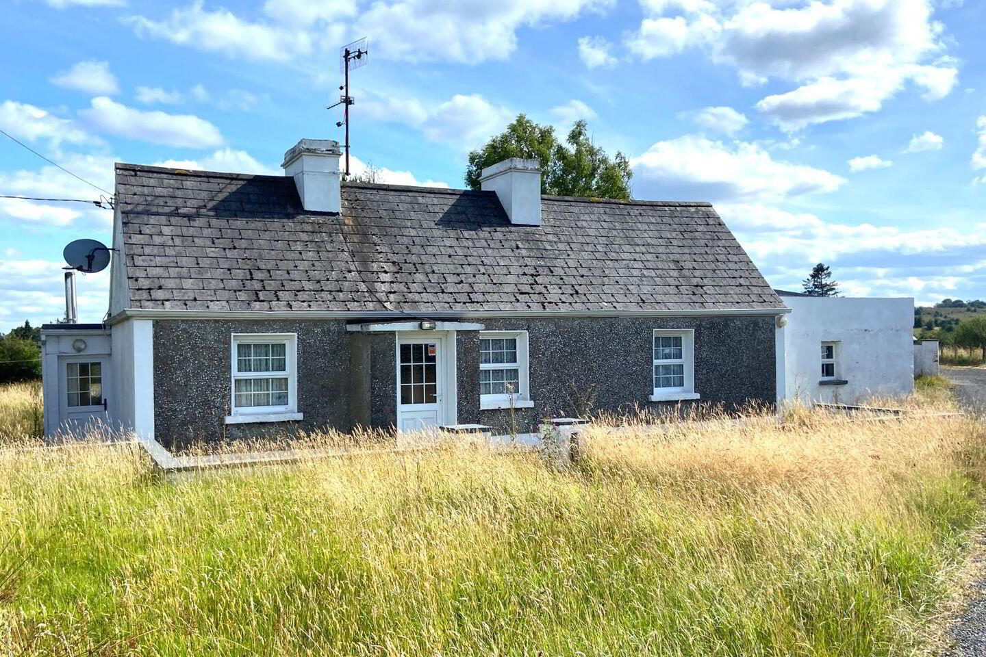 Corgorman 2 of 7