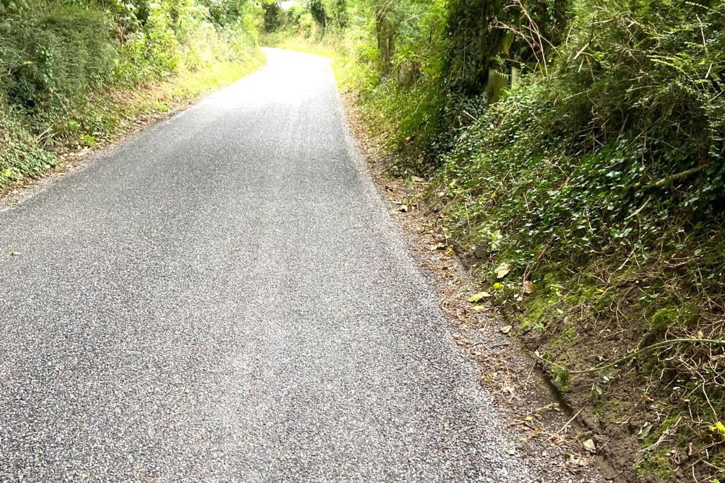Ballyshane 8 of 9