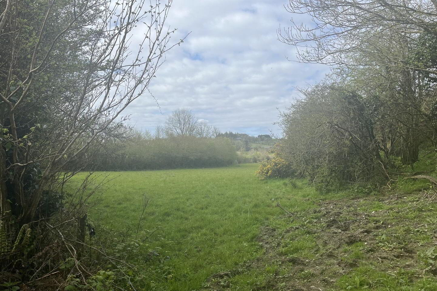 Tullyglass Bandon 1 of 1