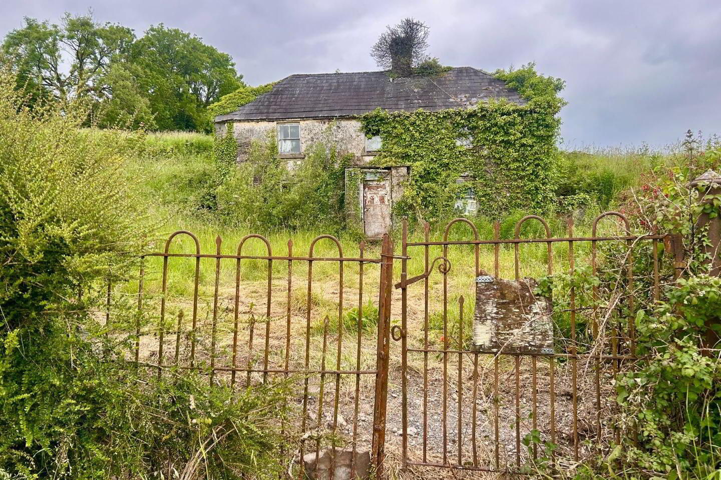 Farrow 2 of 6