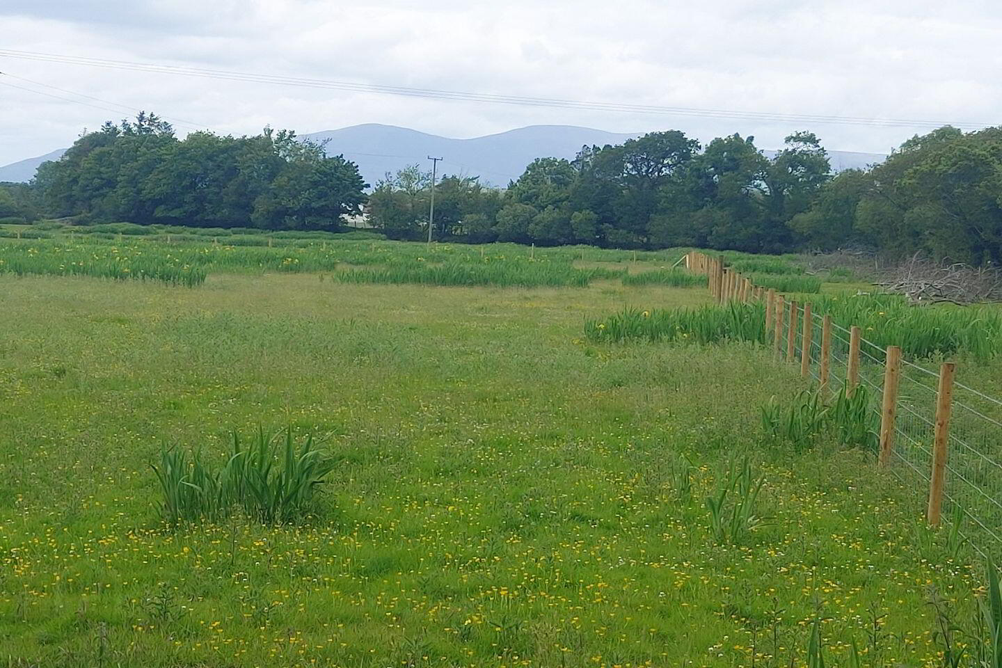Ardlahas Beaufort 2 of 3