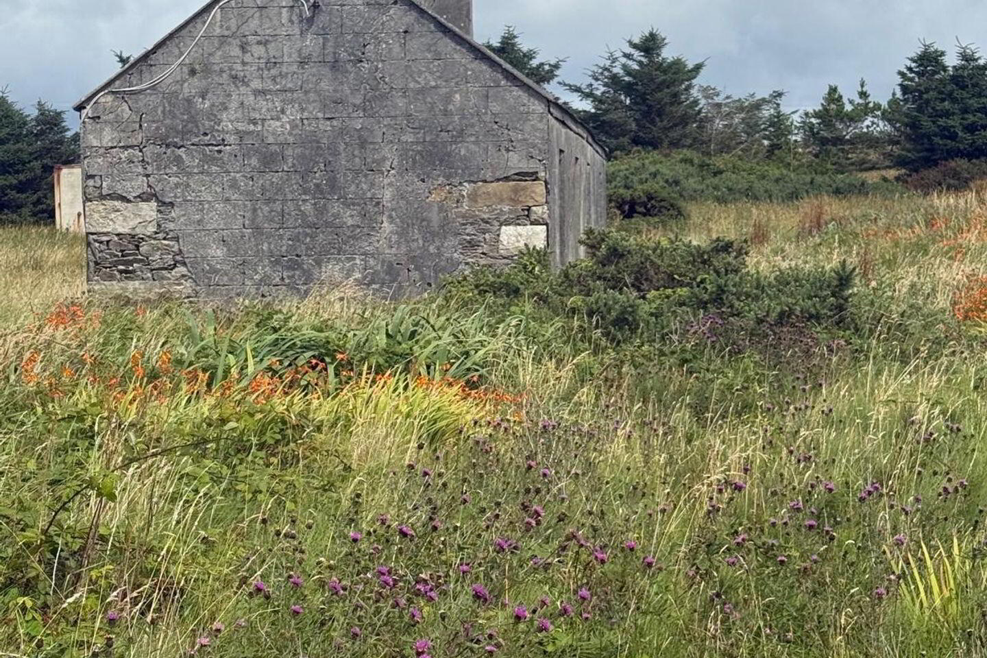 Corclough Corclogh 9 of 10