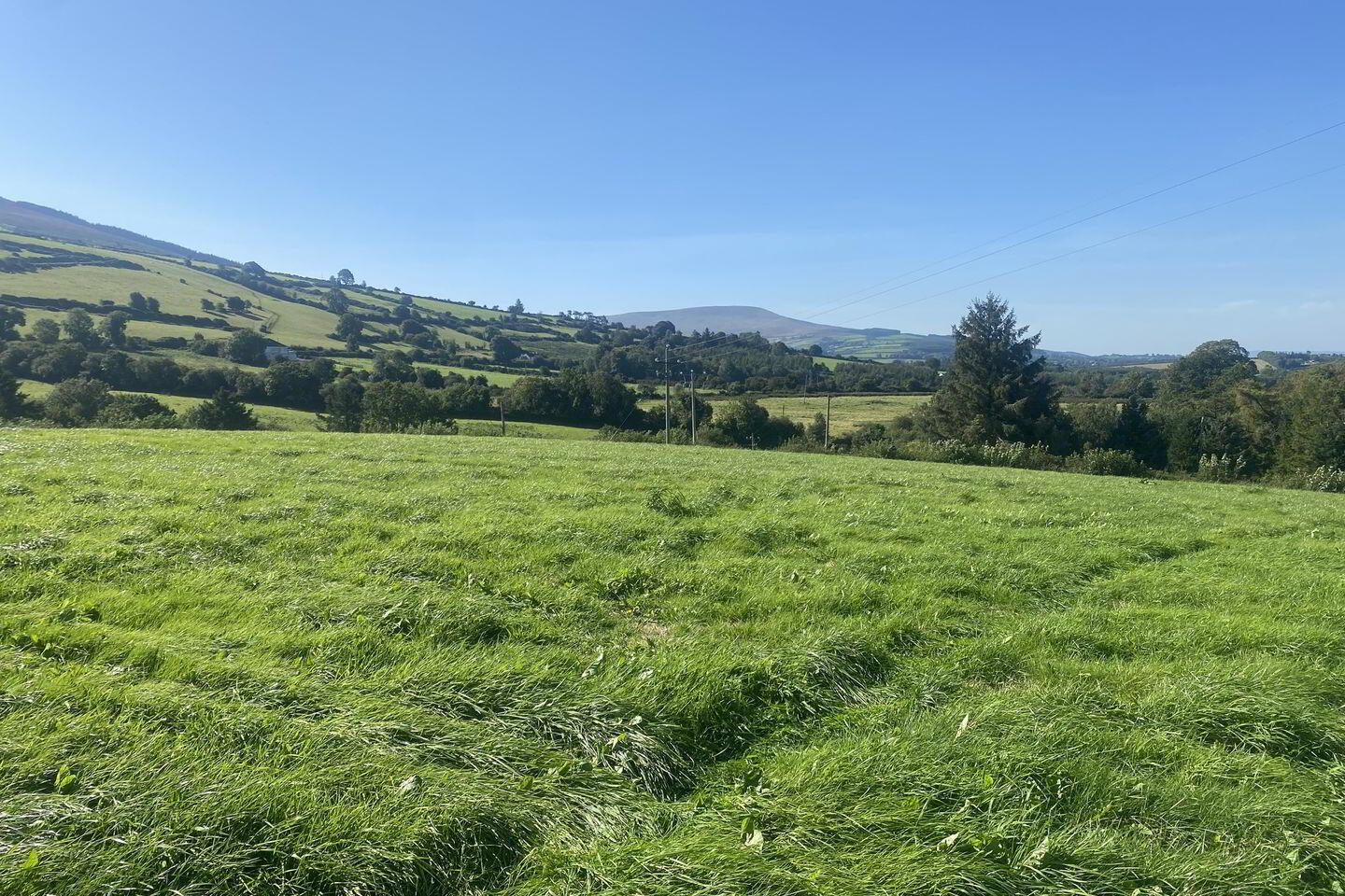 Ballinree 2 of 2