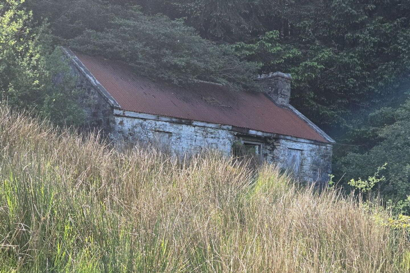 Glen 6 of 6