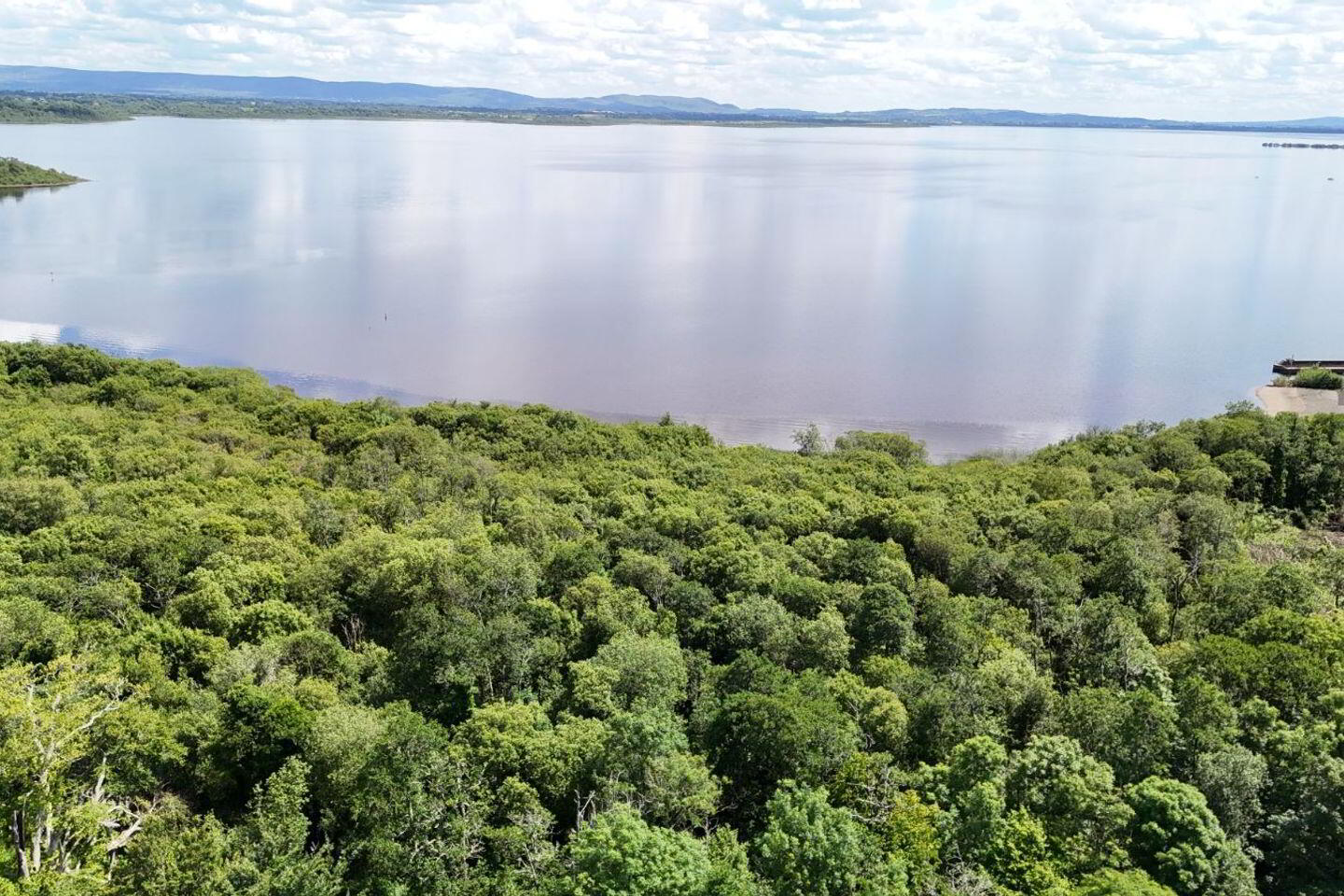 10 Beech Hill 18 of 19