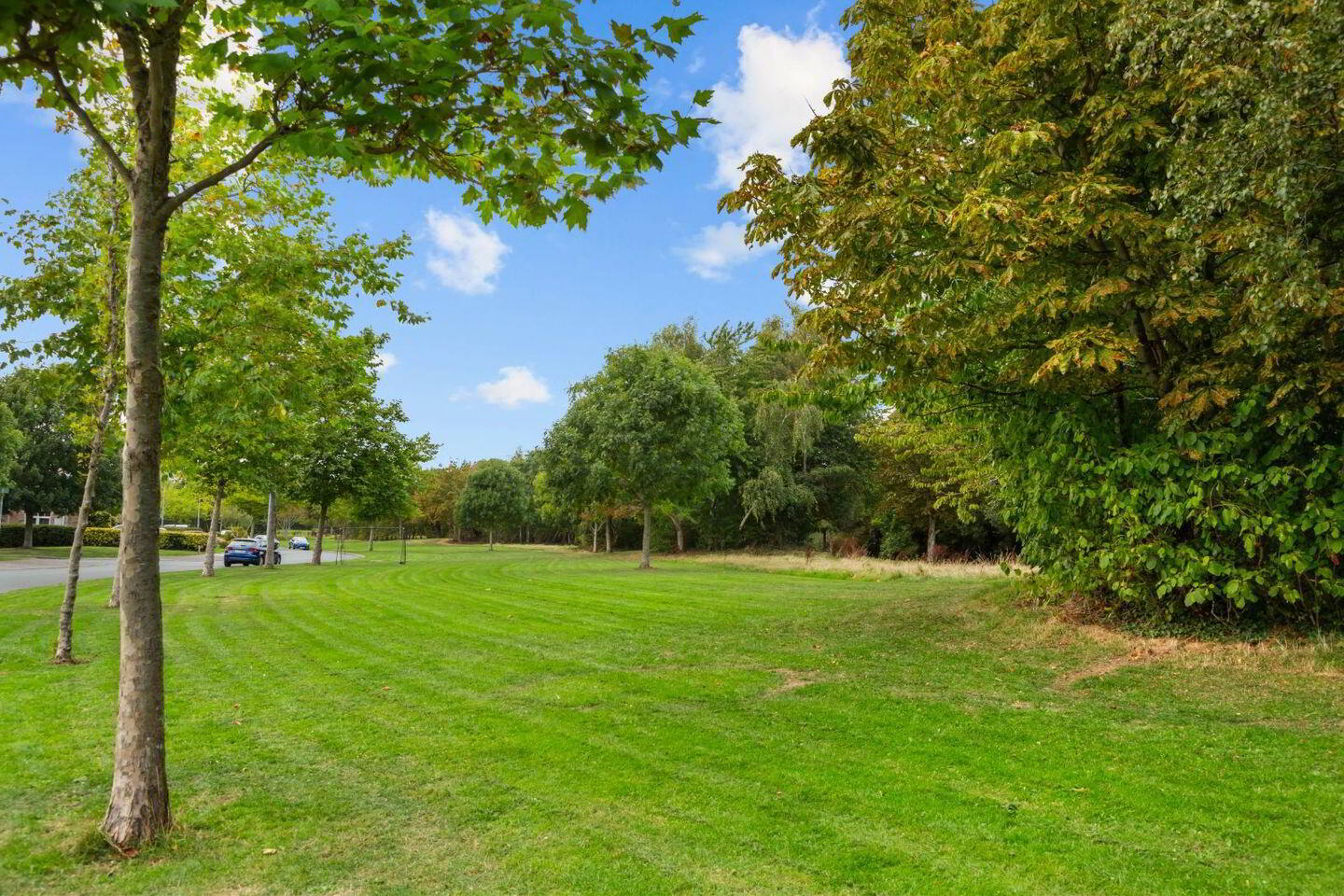 177 Charlesland Wood 2 of 12