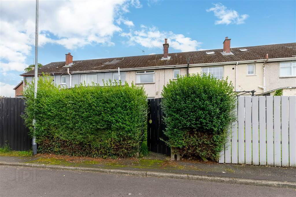 17 Hornbeam Road 29 of 29