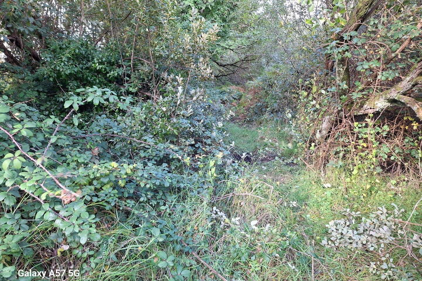 0.23 Acre Plot Of Land 3 of 6