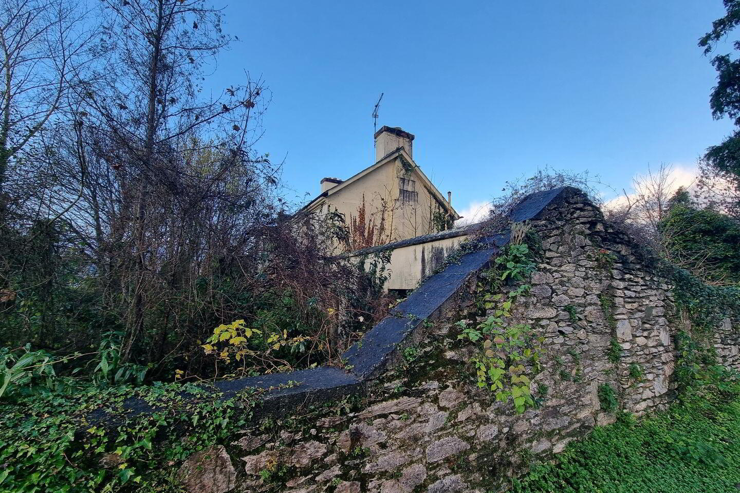 Rose Cottage 3 of 12