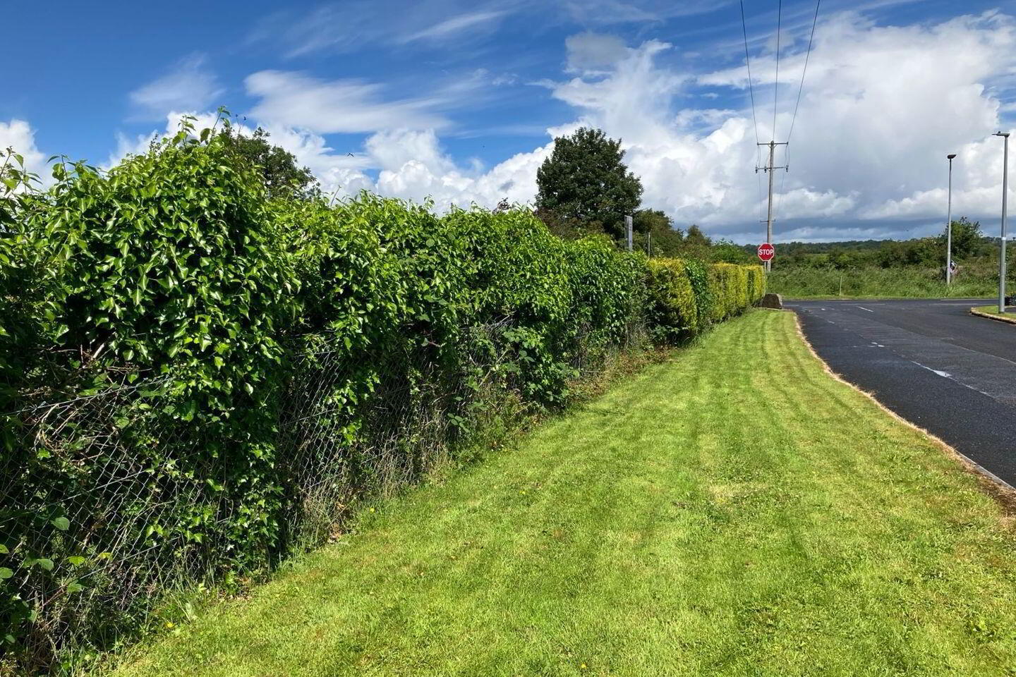 Longford Road (, R 194) 4 of 4