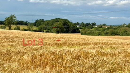 C. 12.5 Acres Beside, 32 Ballyknock Road 2 of 5