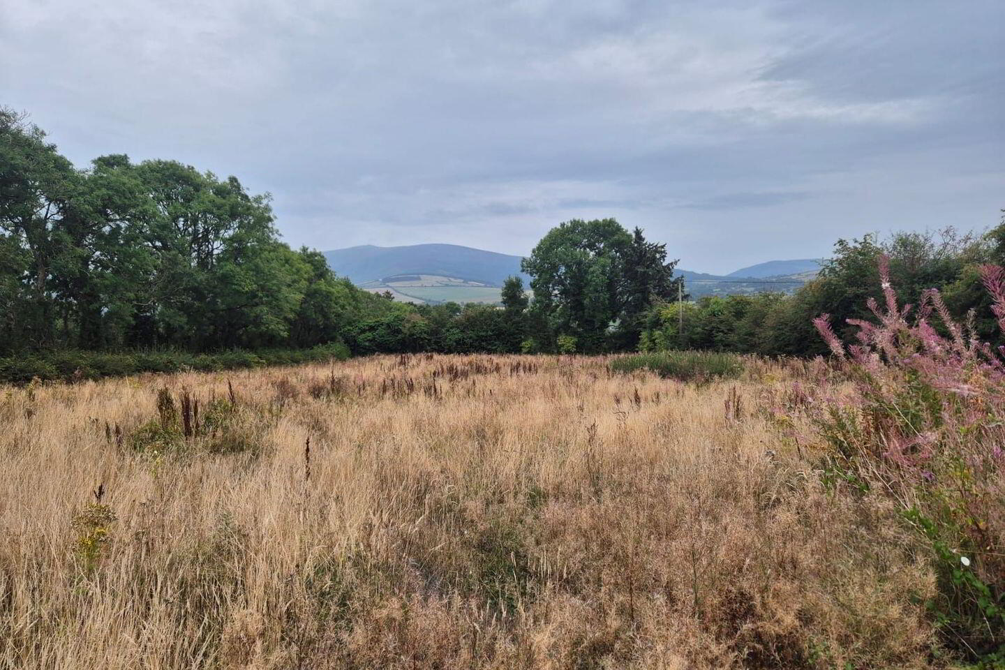 Kilballyowen 10 of 10