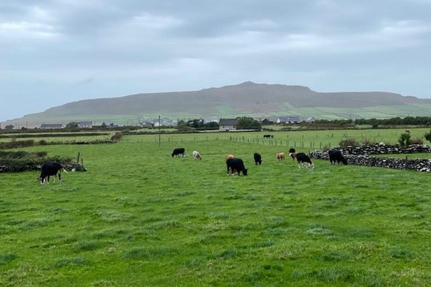 Kilcooly 6 of 6