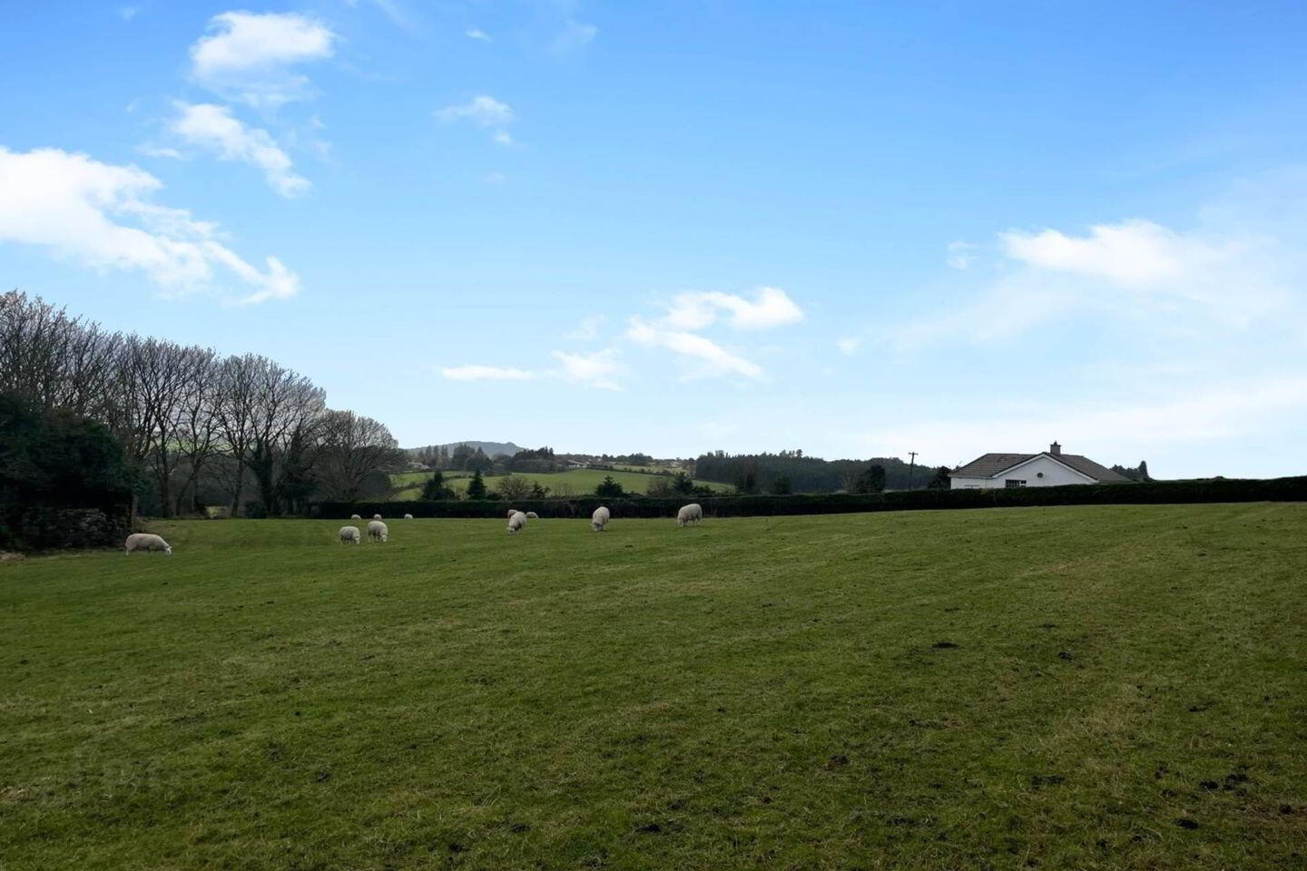Ballymaghroe (, C. 0.75 Acre Site) 1 of 1