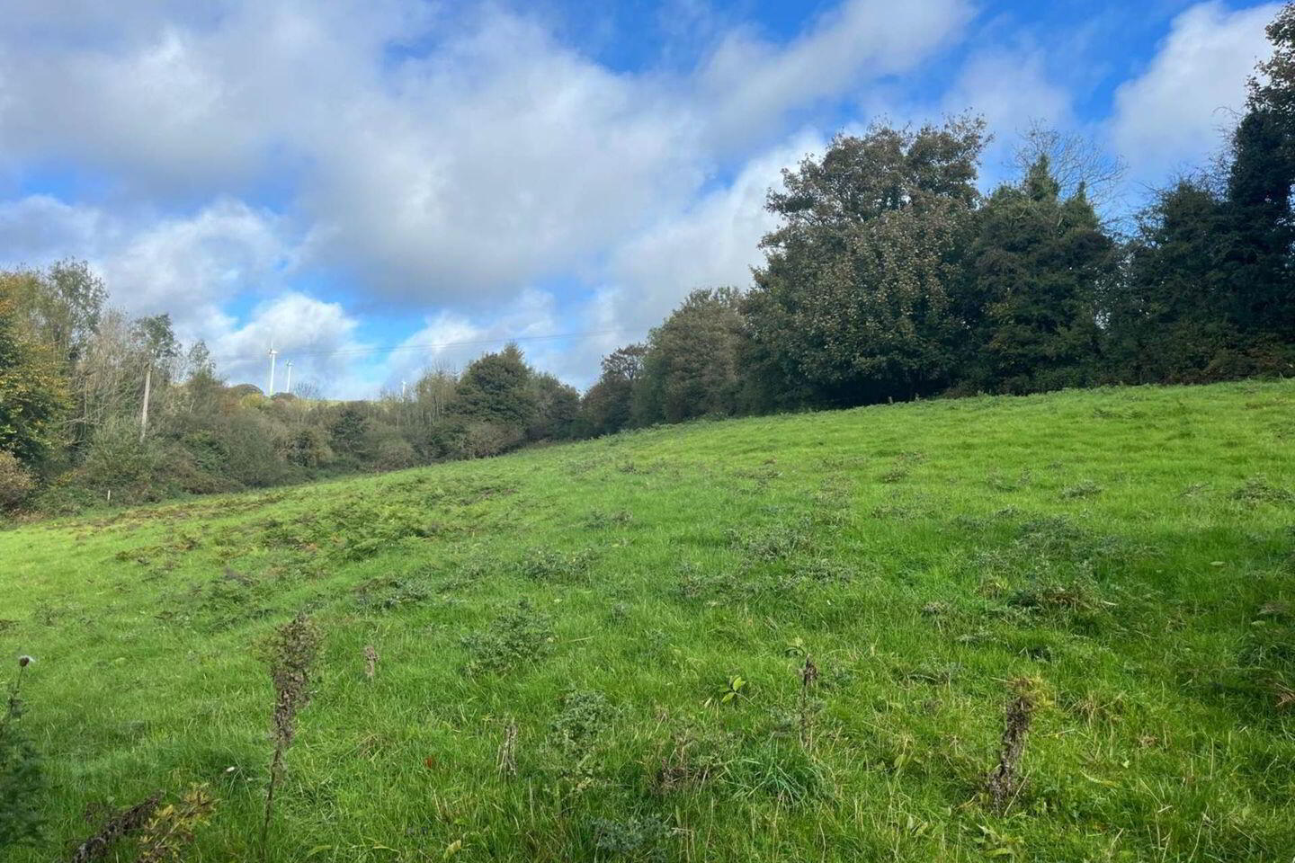 Ballynultagh (, 1.8 Acre Site) 1 of 2