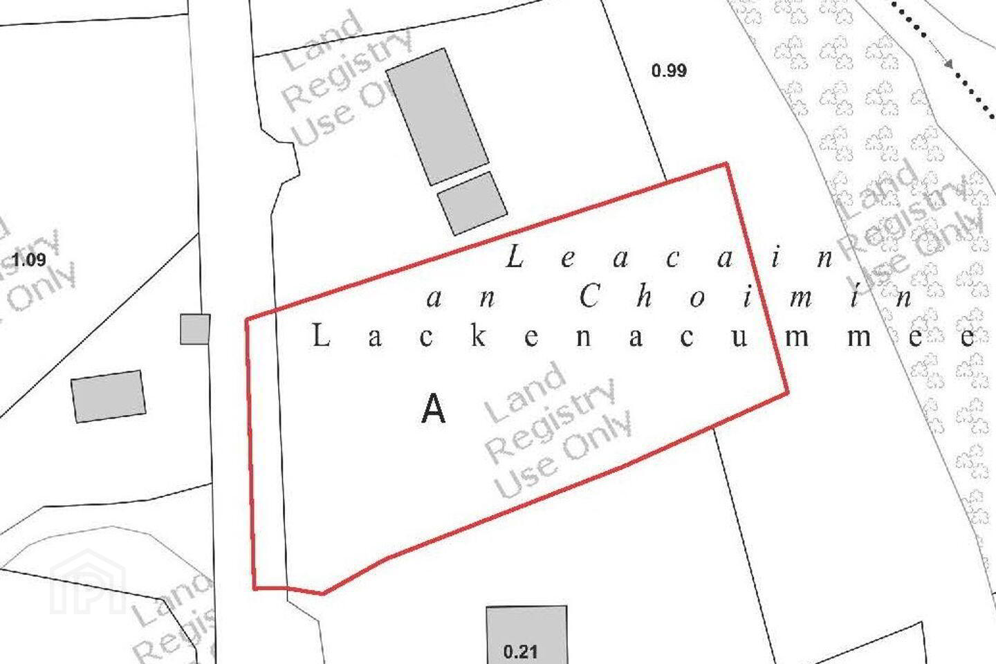 Lackacummeen 7 of 7
