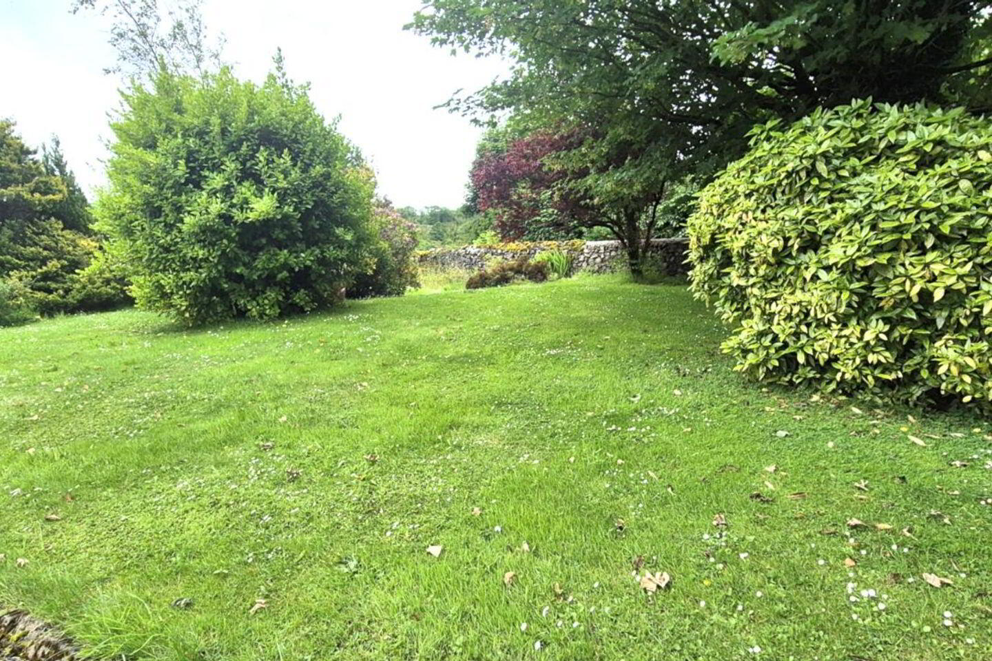 Oakfield 22 of 23