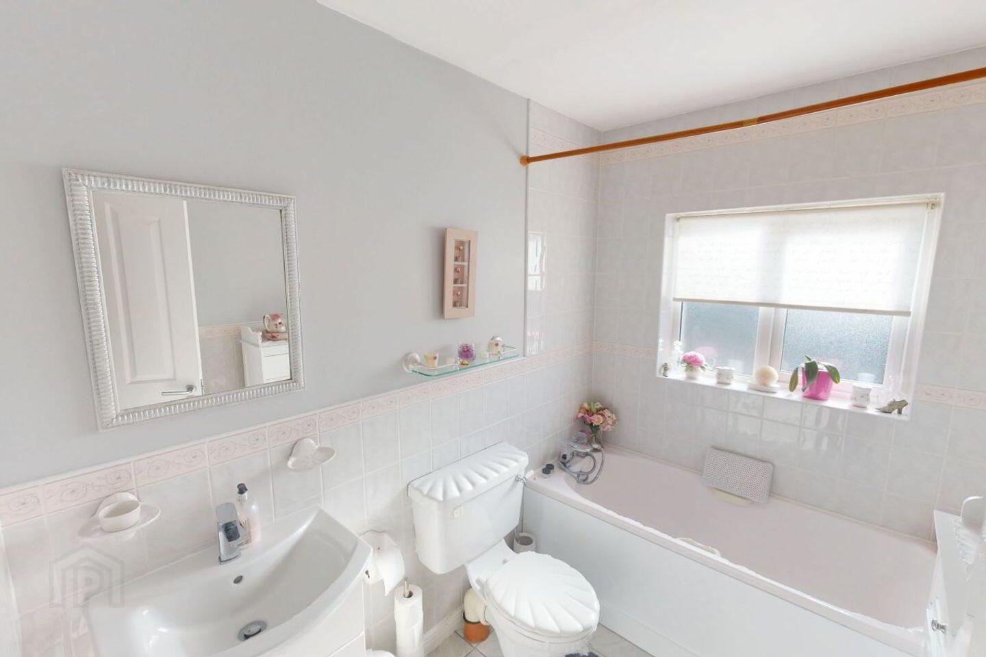 2 The Millers 12 of 13