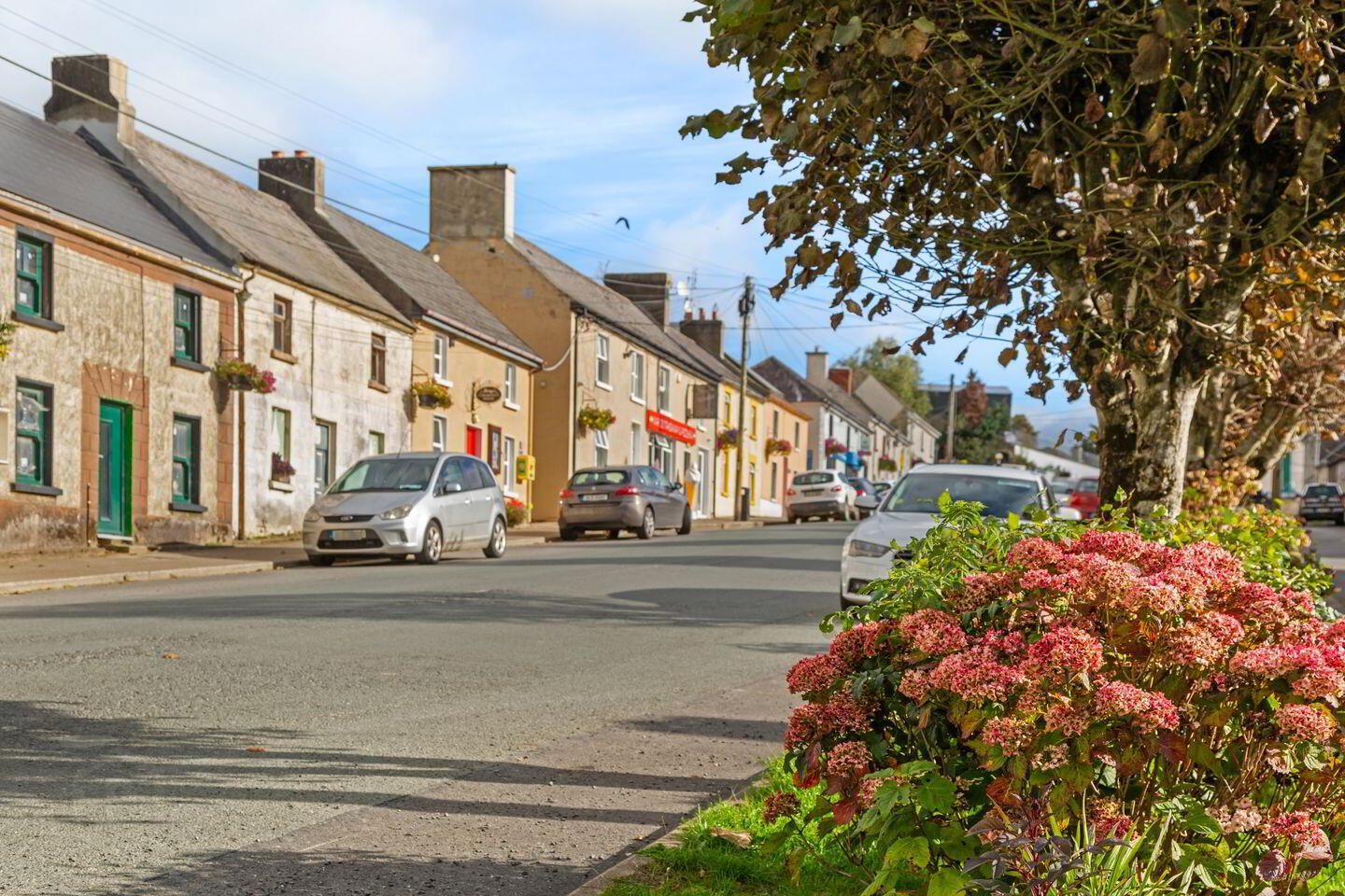 6 Dun Greinne ( Showhouse) 30 of 31
