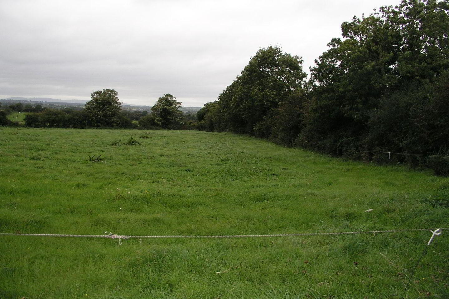 Ballyspellan 3 of 3